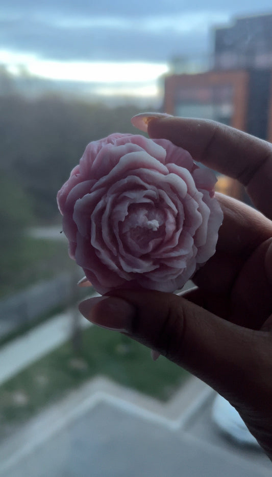Peony Candle